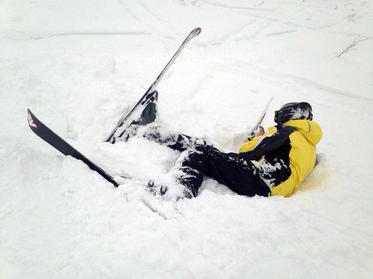 По заснеженному лесу...