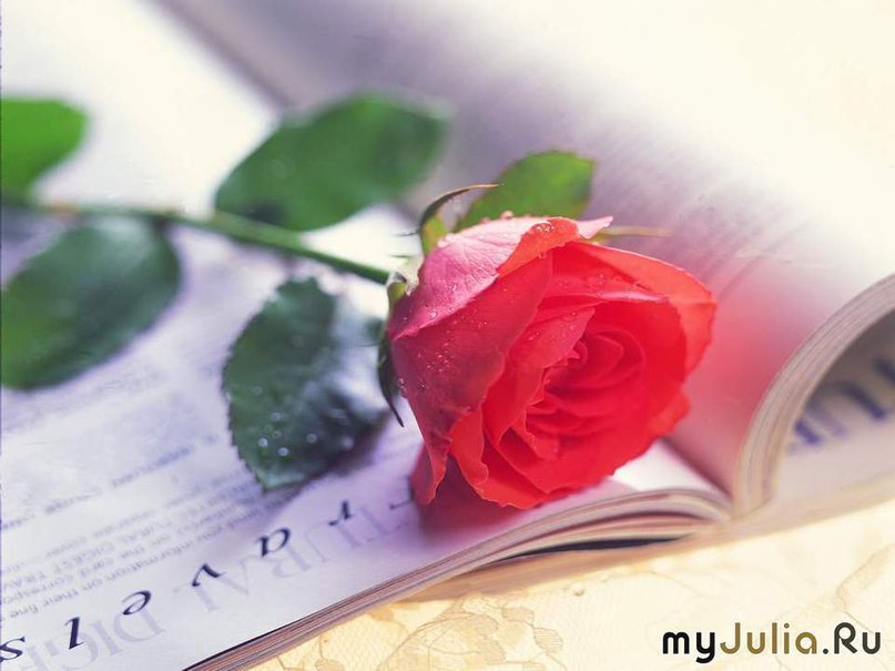 День рождения любви