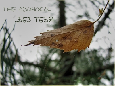 Остановись. Не уходи