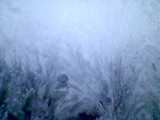 Улыбнулась зима...