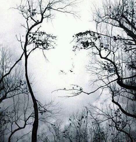 Напиши мне...