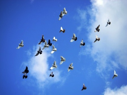 Первый день февраля