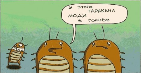 Про тараканов