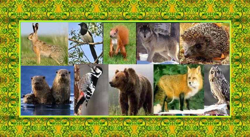 Вера Алексеева. Загадки