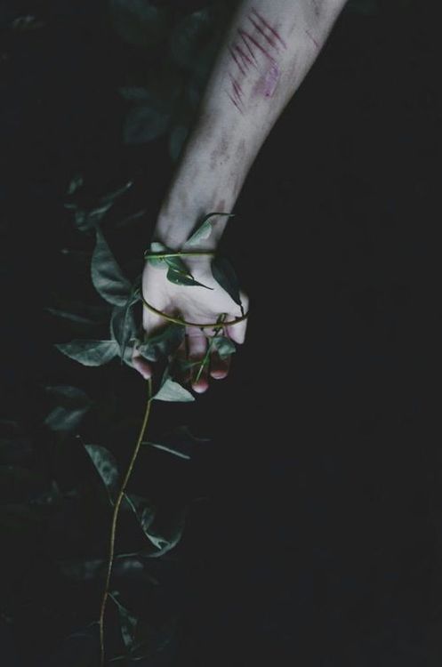 На зелёных листьях серая пыль