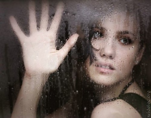 Вагоны вагоны