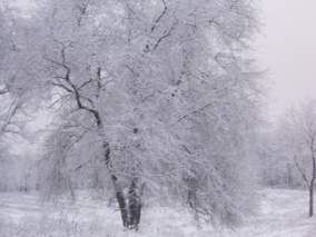 Волшебница-зима