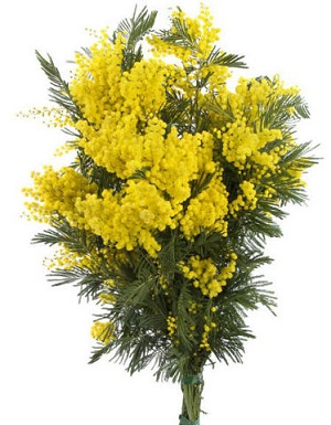 День устало клонится к закату...