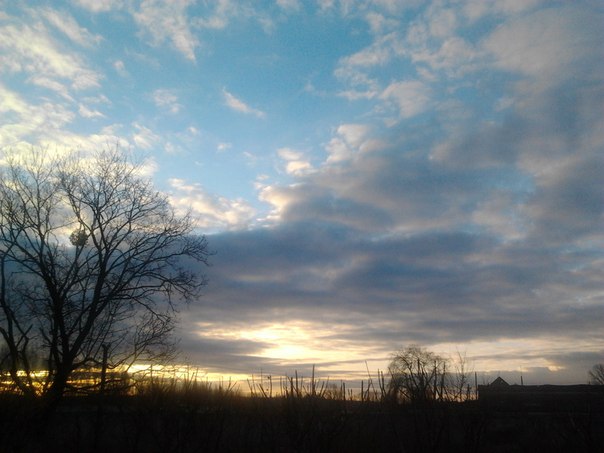 Мой портрет