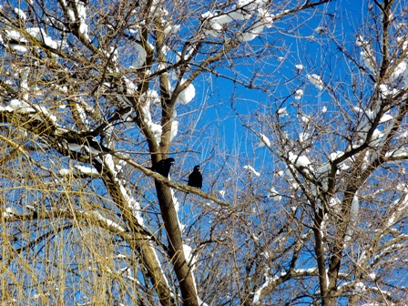 Февральские мысли