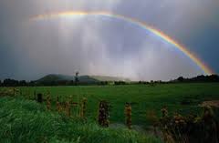 Ох уж этот летний дождь