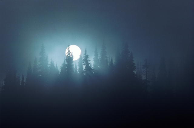 Метель по улицам мела...