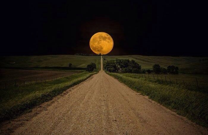 Луна.. и кошка..