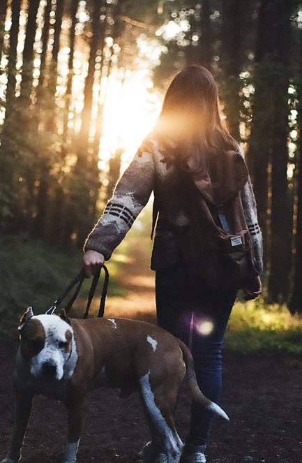 А, может, хватит уже лить слезы?