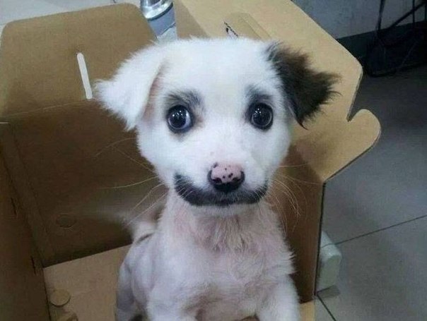 Подарок в коробке...