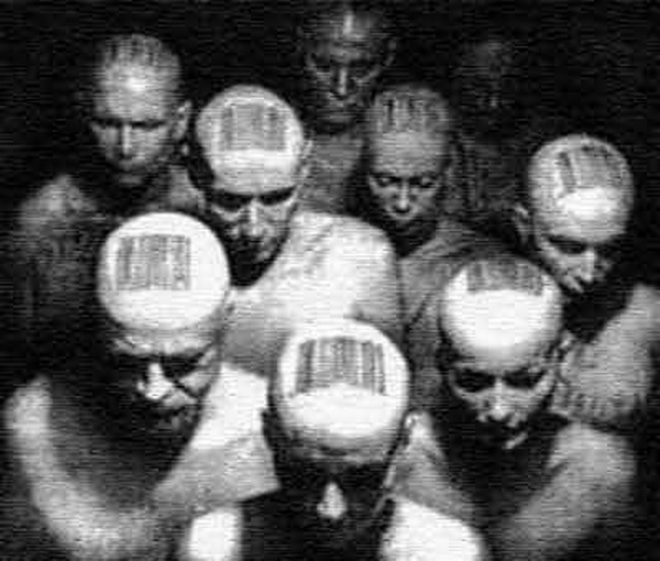 О генетически модернизированных организмах