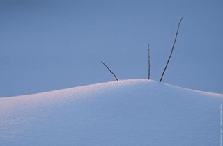 Пушистым ковром...