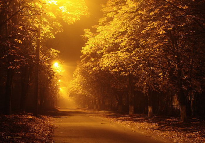 Ветер листвою шуршит...