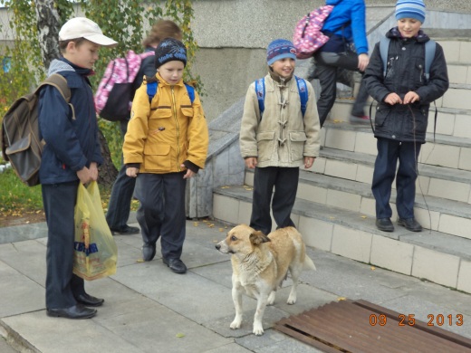 Я вернулся ж домой