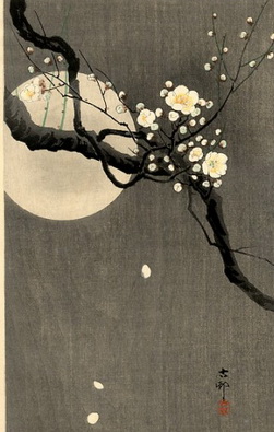 Свежесть розового лепестка в прахе прожитого дня