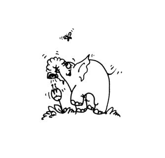 Нежный слон