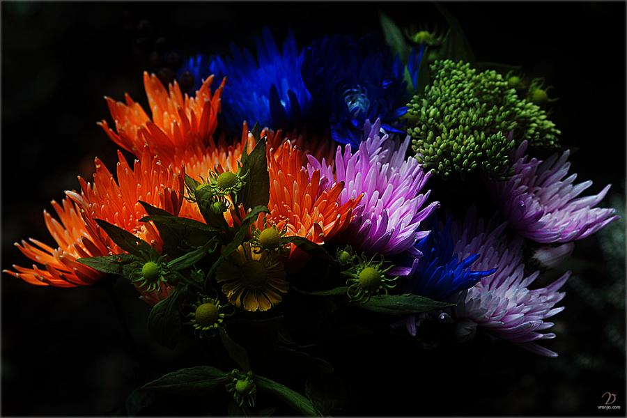 Люблю любые я цветы!