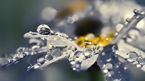 Загадка чуда