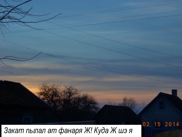 Булы колыся у Пташкы Ш диты