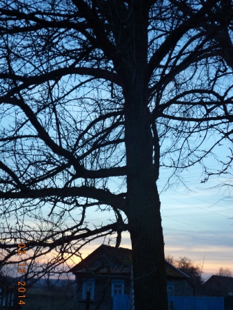 Ах, шатун вас в бРУх!