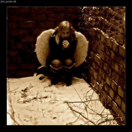 Вы только посмотрите что творится