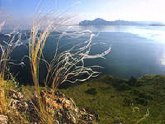 Глаза удачи