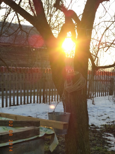 НенасиЛие! Так нэ умрэм