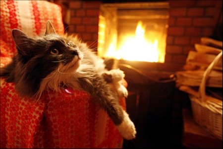 Снова вечер...