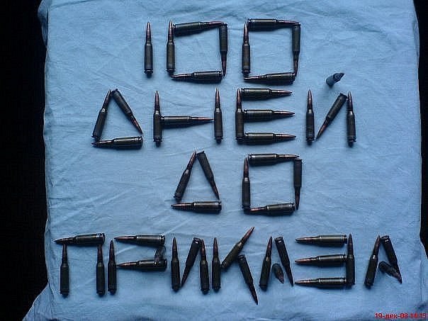Сто Дней До Приказа (Елена Нацаренус) / Стихи.Ру