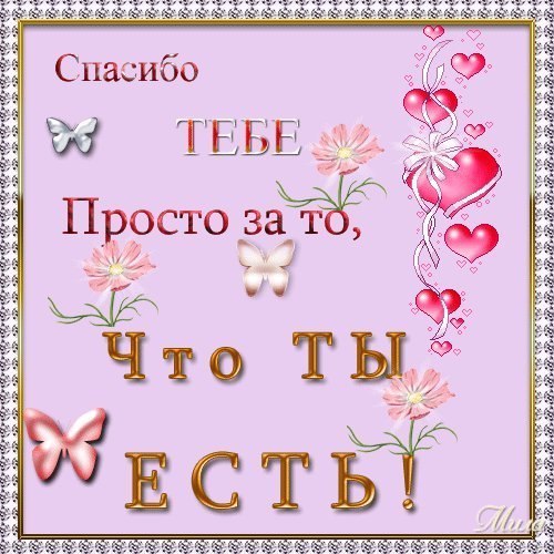 Спасибо картинки смешные и интересные