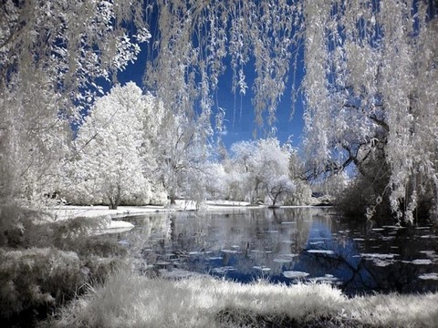 Так безрассудно, красиво, так нежно