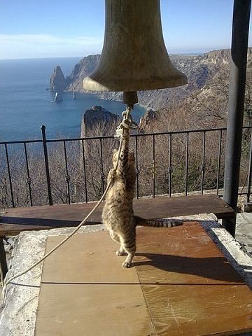 Весны приятные аккорды