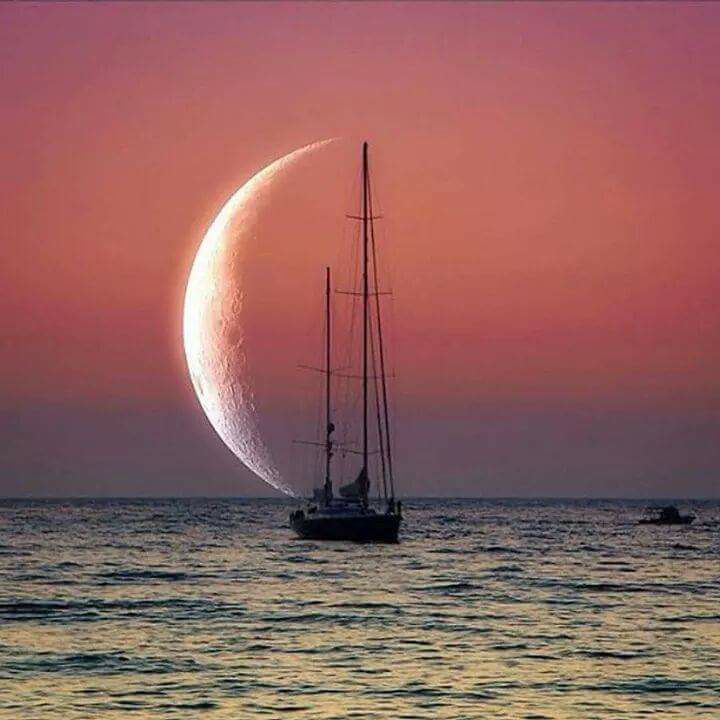 Политическое. понаехали мы тут...