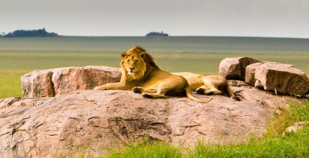 Борьба за власть