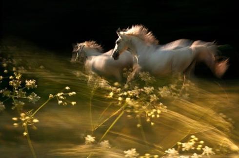 Когда мне грустно...