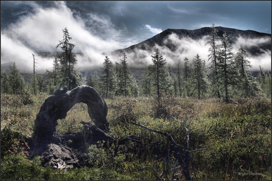 В висках заметна седина...
