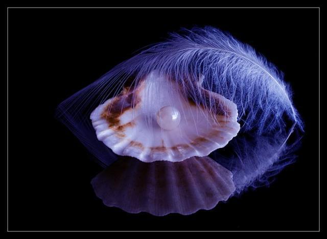 Коль захотел сказать...