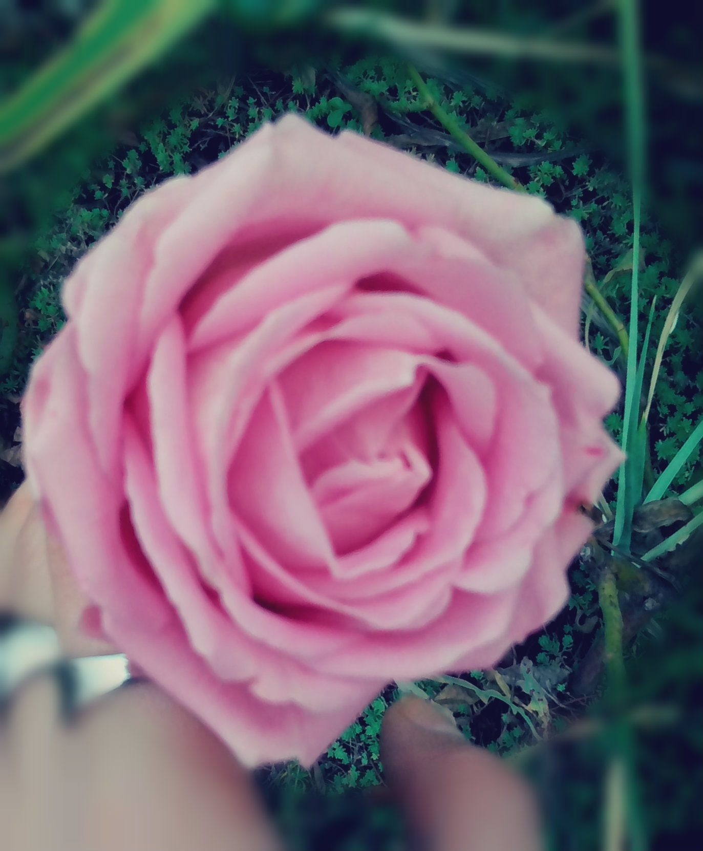 Секрет Внутри!