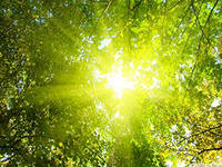 Россия - Родина Любви