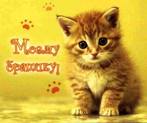 С днём рожденьем братик