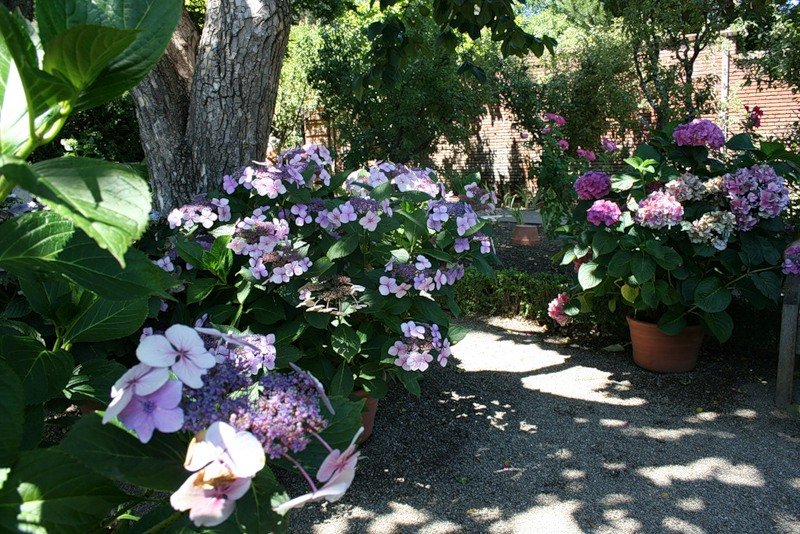 Великолепной песней...