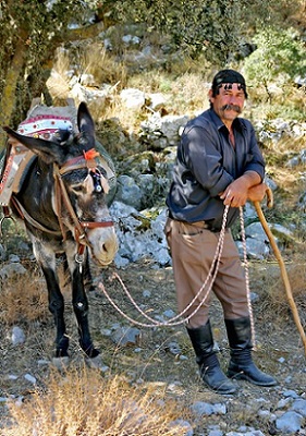 Верные друзья