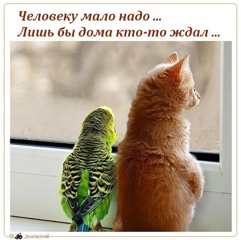Человеку мало надо...