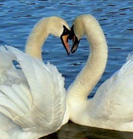 Чужой вины- не бывает...