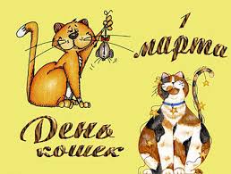 Кошачий рынок